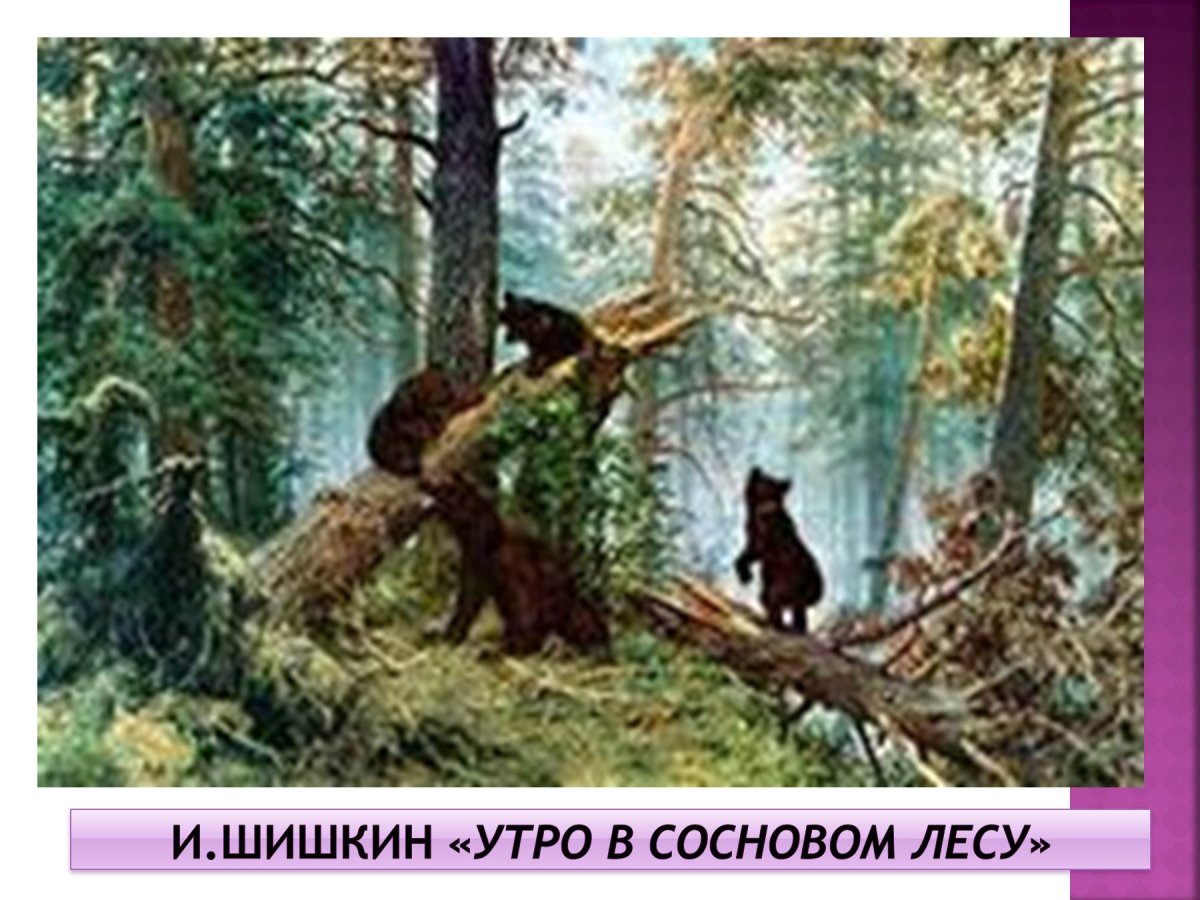 Зимний лес раскраска