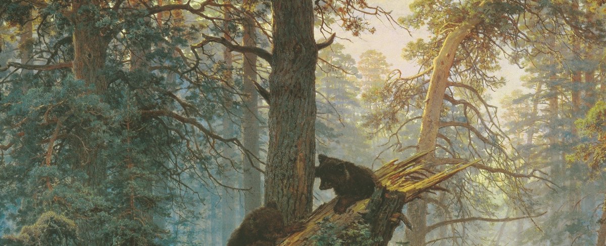 Лес для раскрашивания