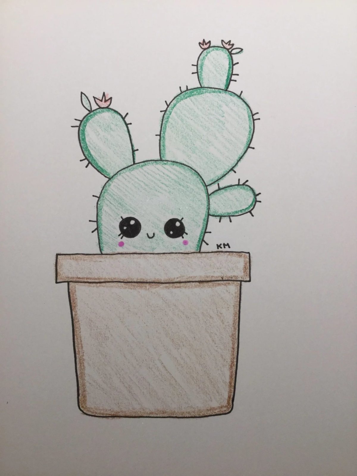 Разные животные черно белые