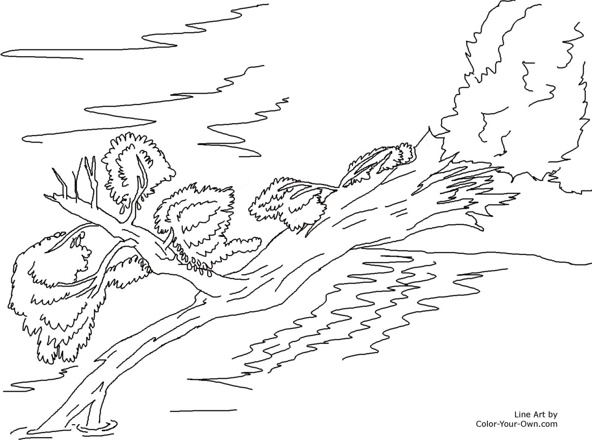 Раскраска dtcyfдля детей