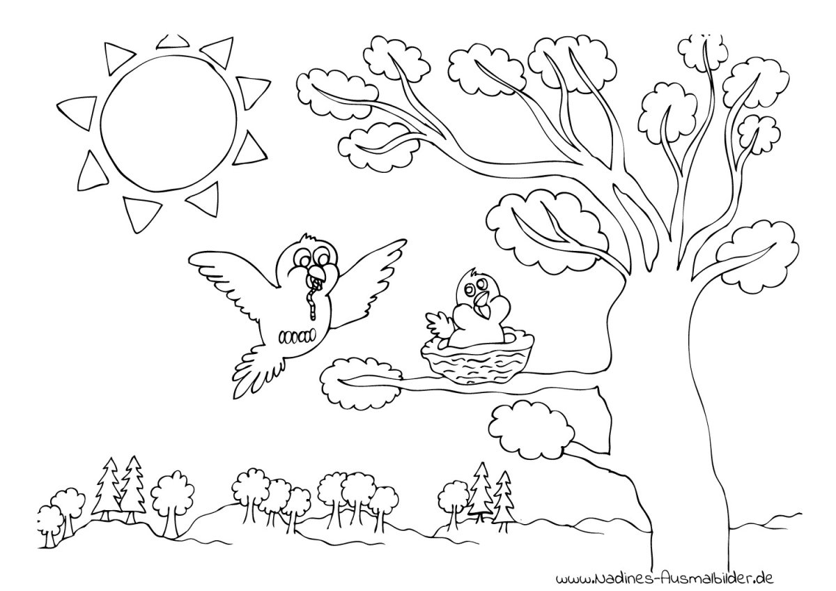 Раскраска пейзаж лето