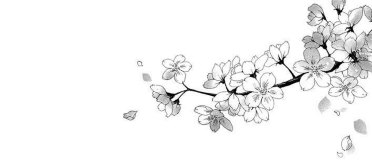 Ветка Сакуры