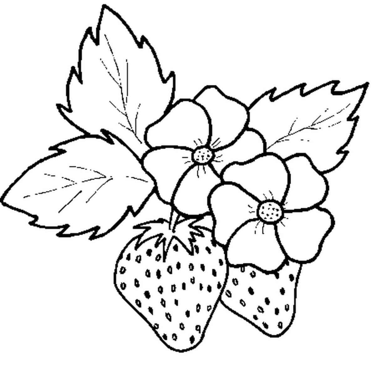 Раскраска веточки с цветочками