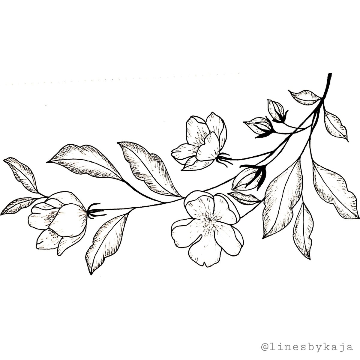 Эскизы цветов для вышивки