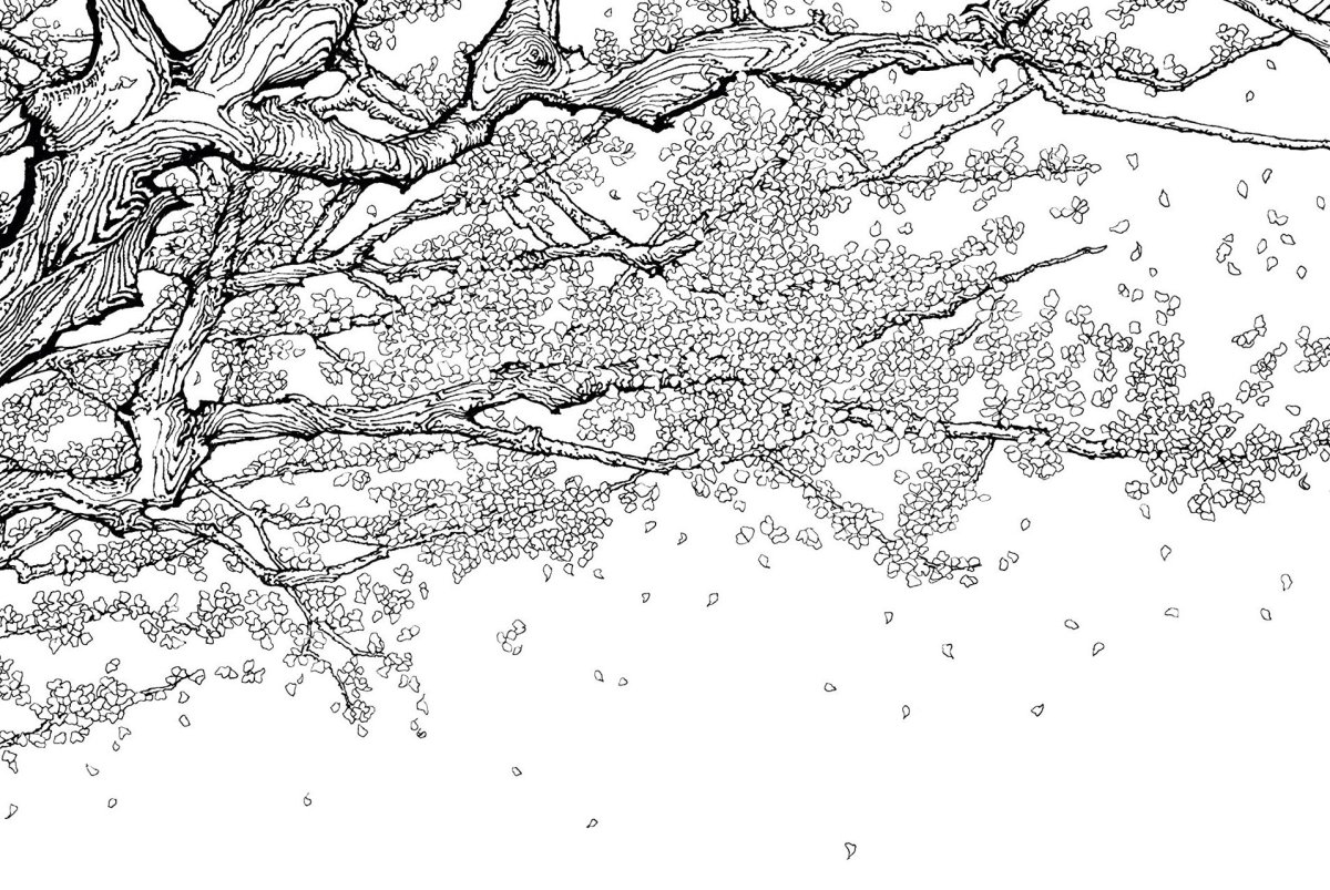 Дерево раскраска