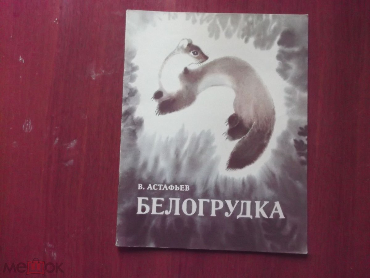 Лесная куница раскраска