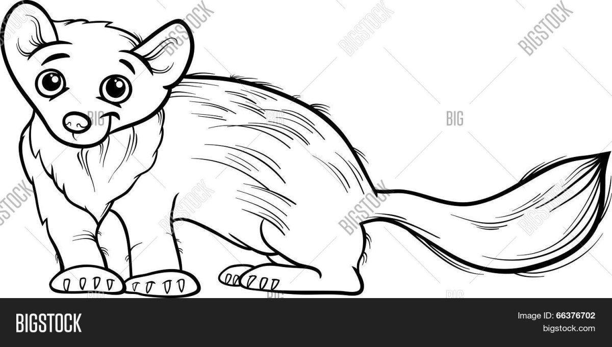 Белогрудка Мелик Пашаев