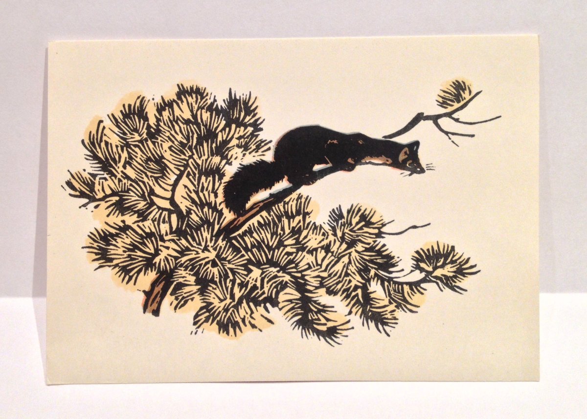 Иллюстрация Васюткино озеро раскраска