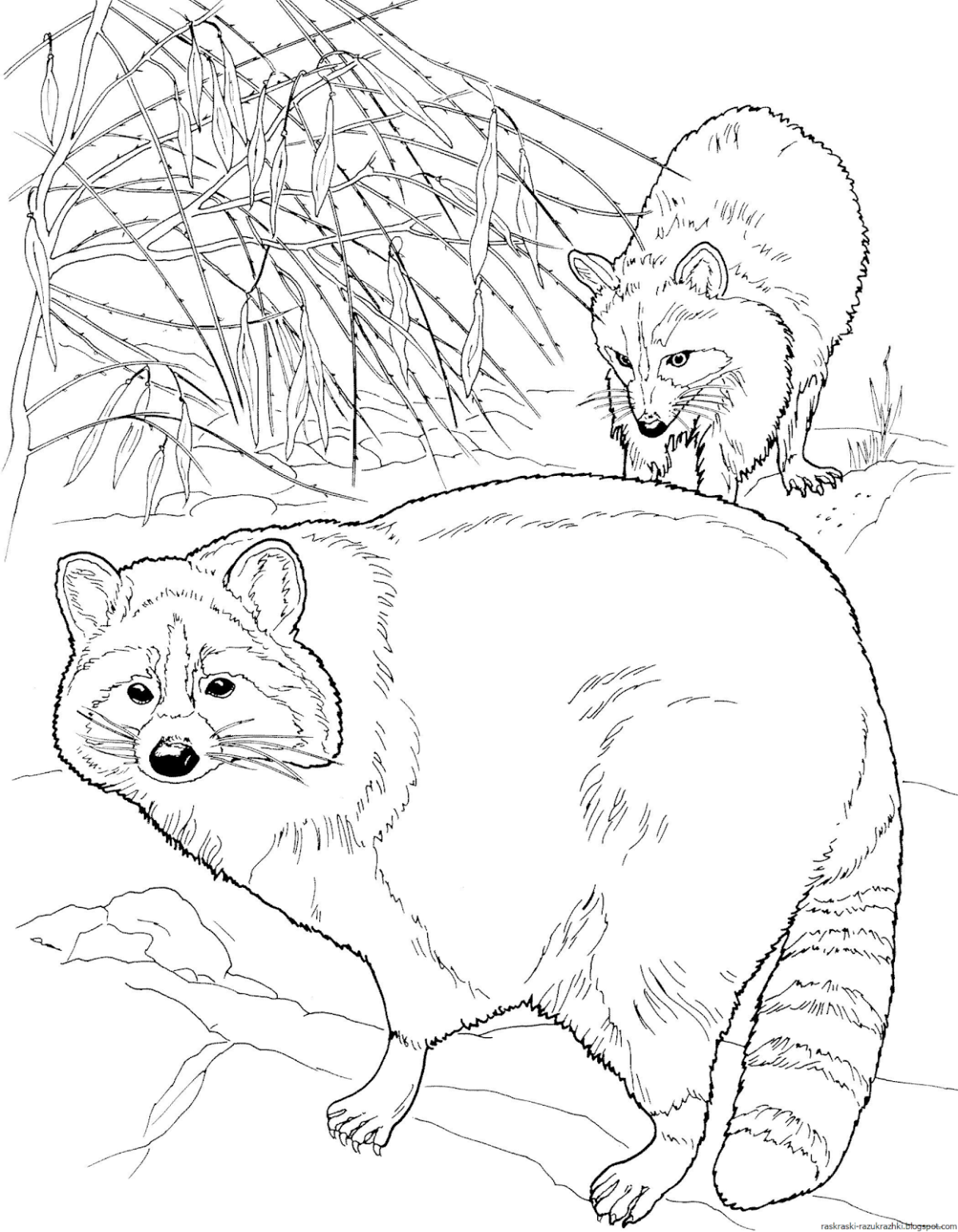 Лесные звери и птицы