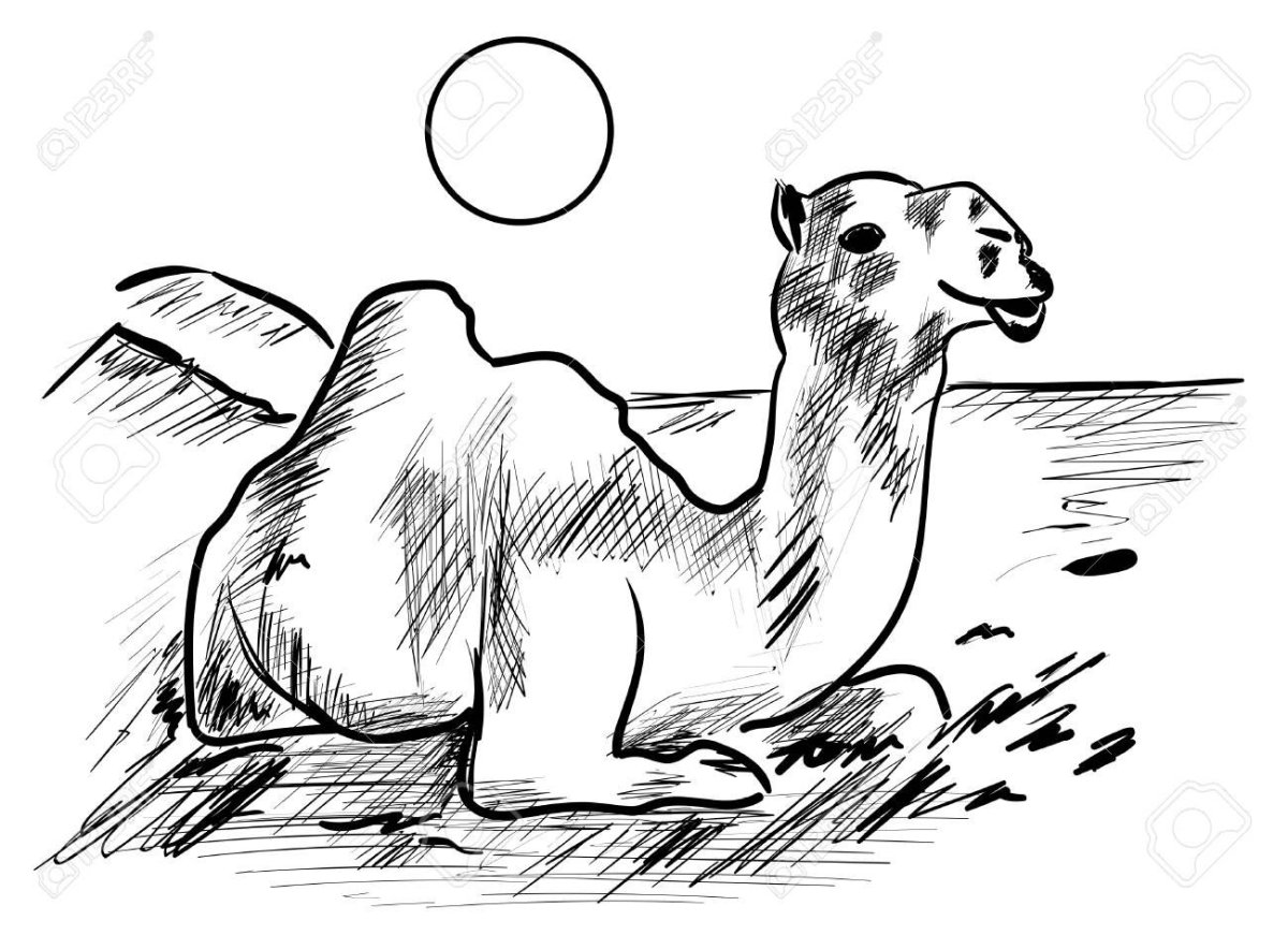 Кочевники раскраска