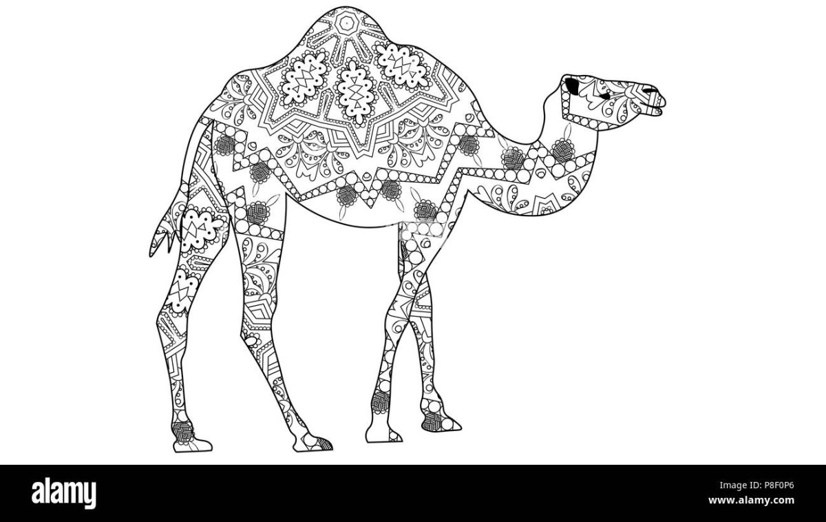 Пирамида и верблюд рисунок