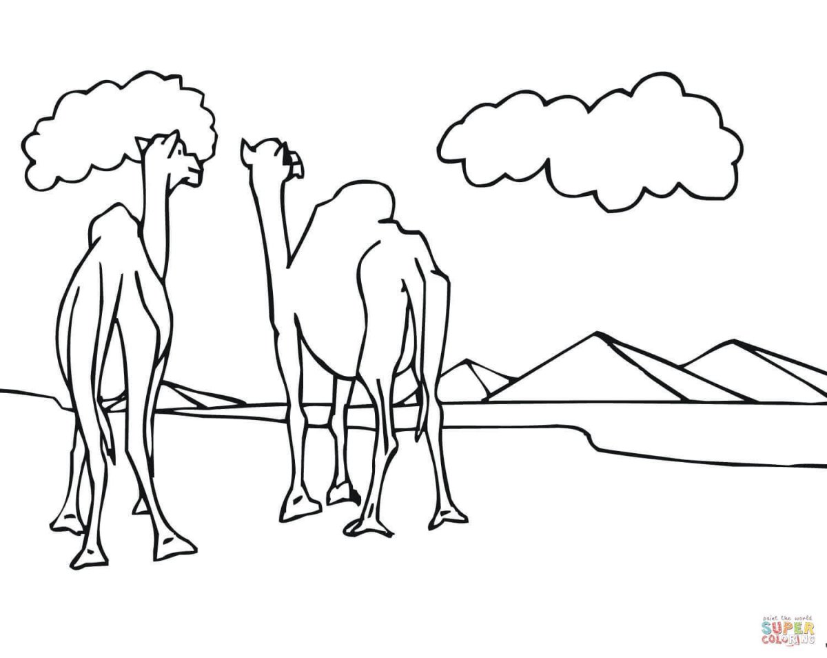 Раскраска верблюд в пустыни