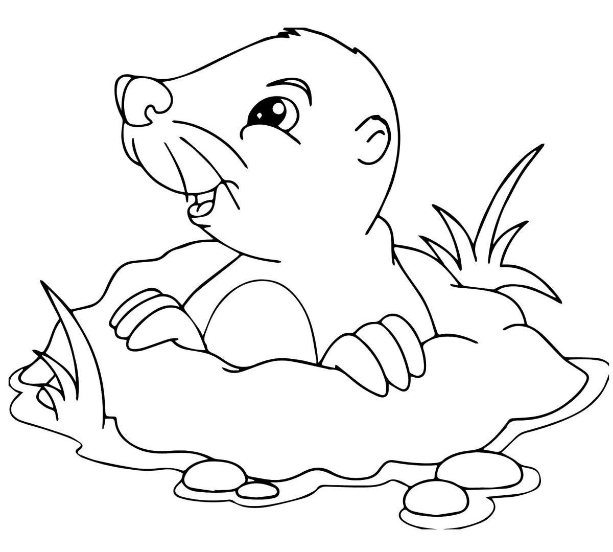 Крот картинка для детей раскраска