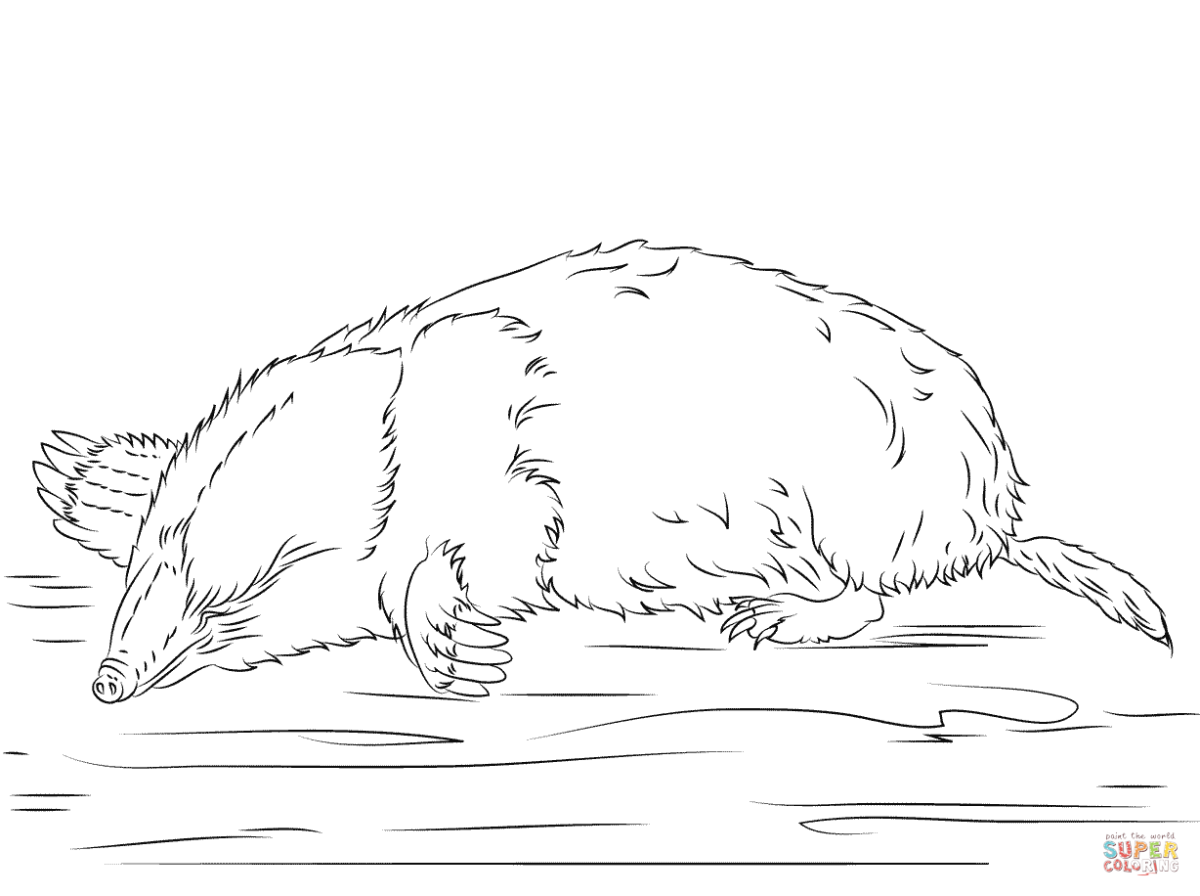 Крот раскраска