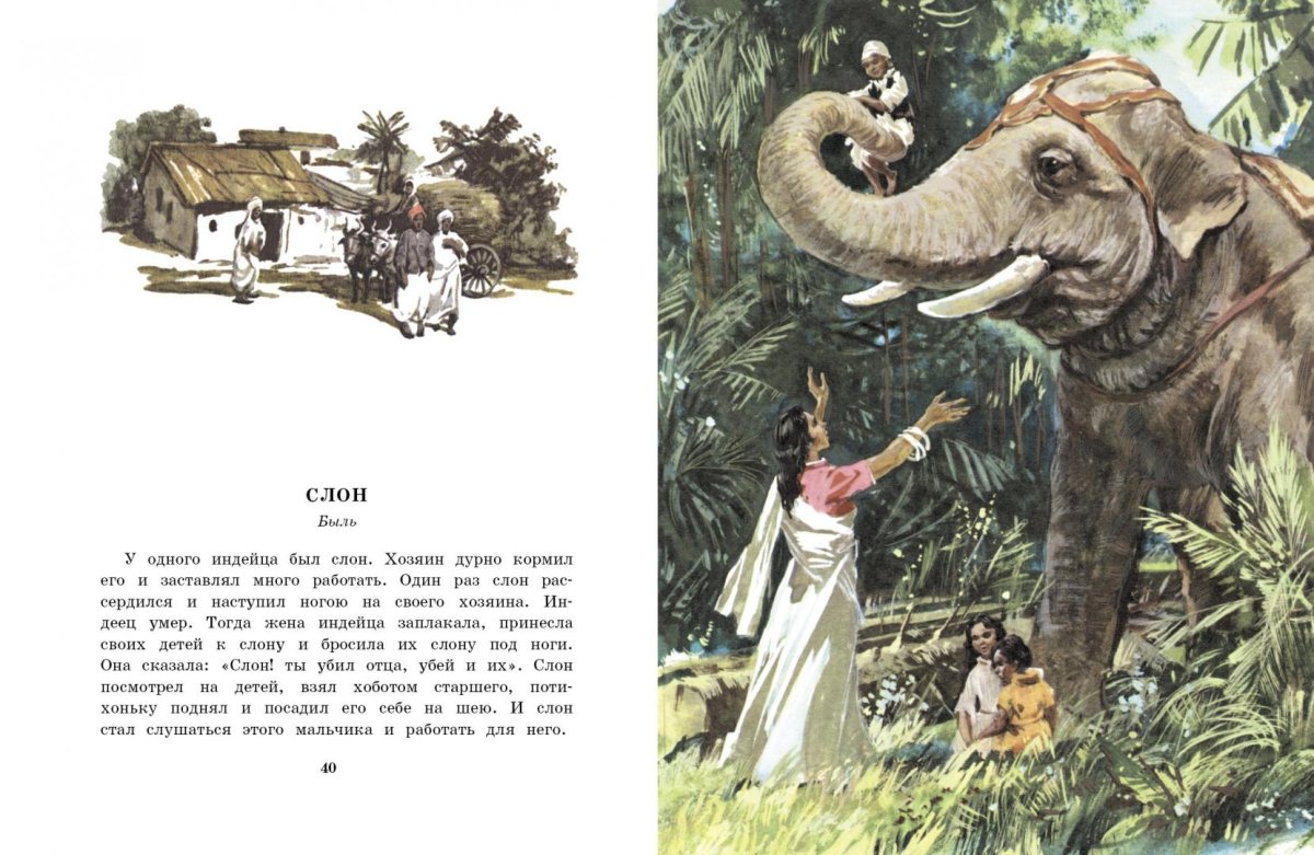 Медведев обыкновенный великан раскраска