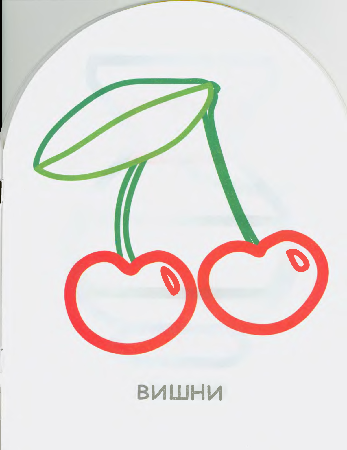 Цветные раскраски для малышей