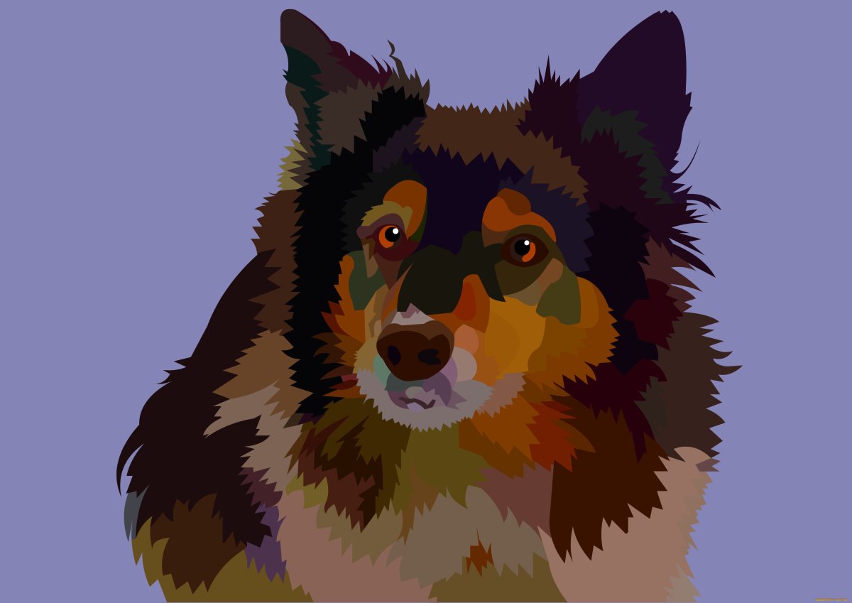 Примеры векторной графики