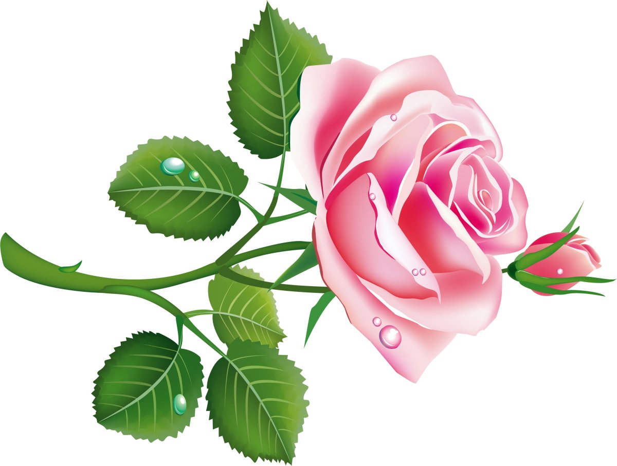 Растровые цветы