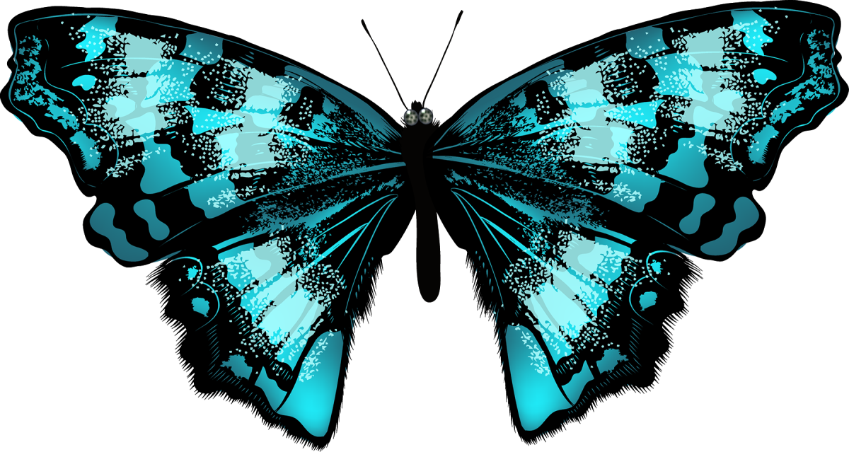 Бабочки на белом фоне