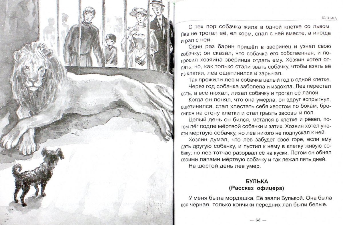 Котенок черно белый рисунок для детей