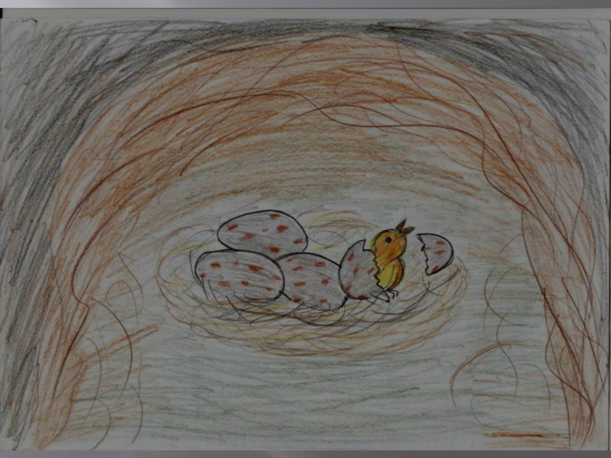 Стрижонок скрип