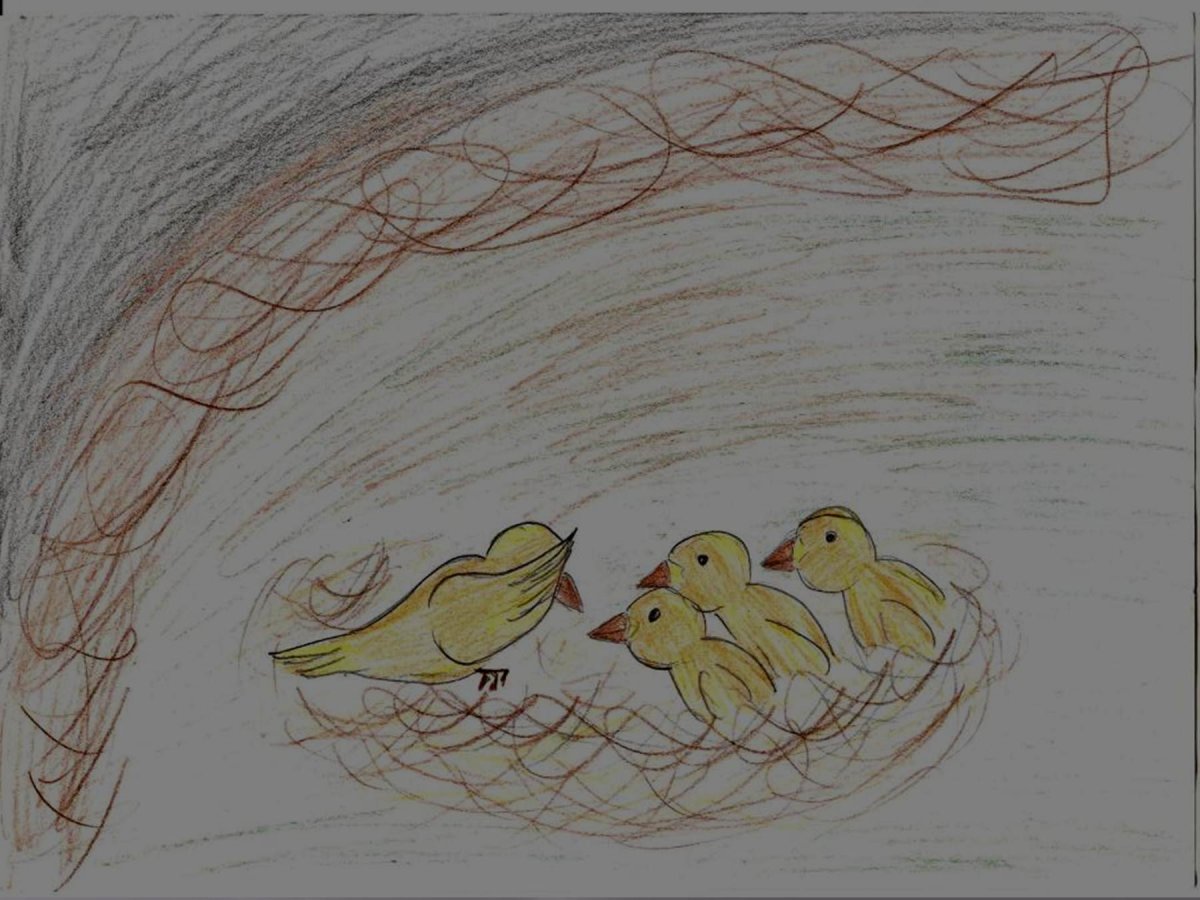 В П Астафьев Стрижонок скрип