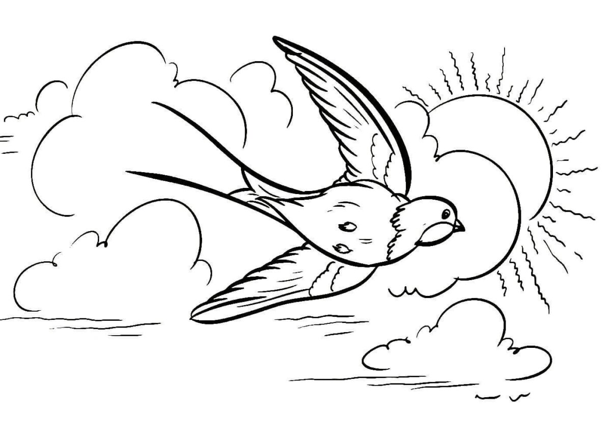 Стрижонок скрип