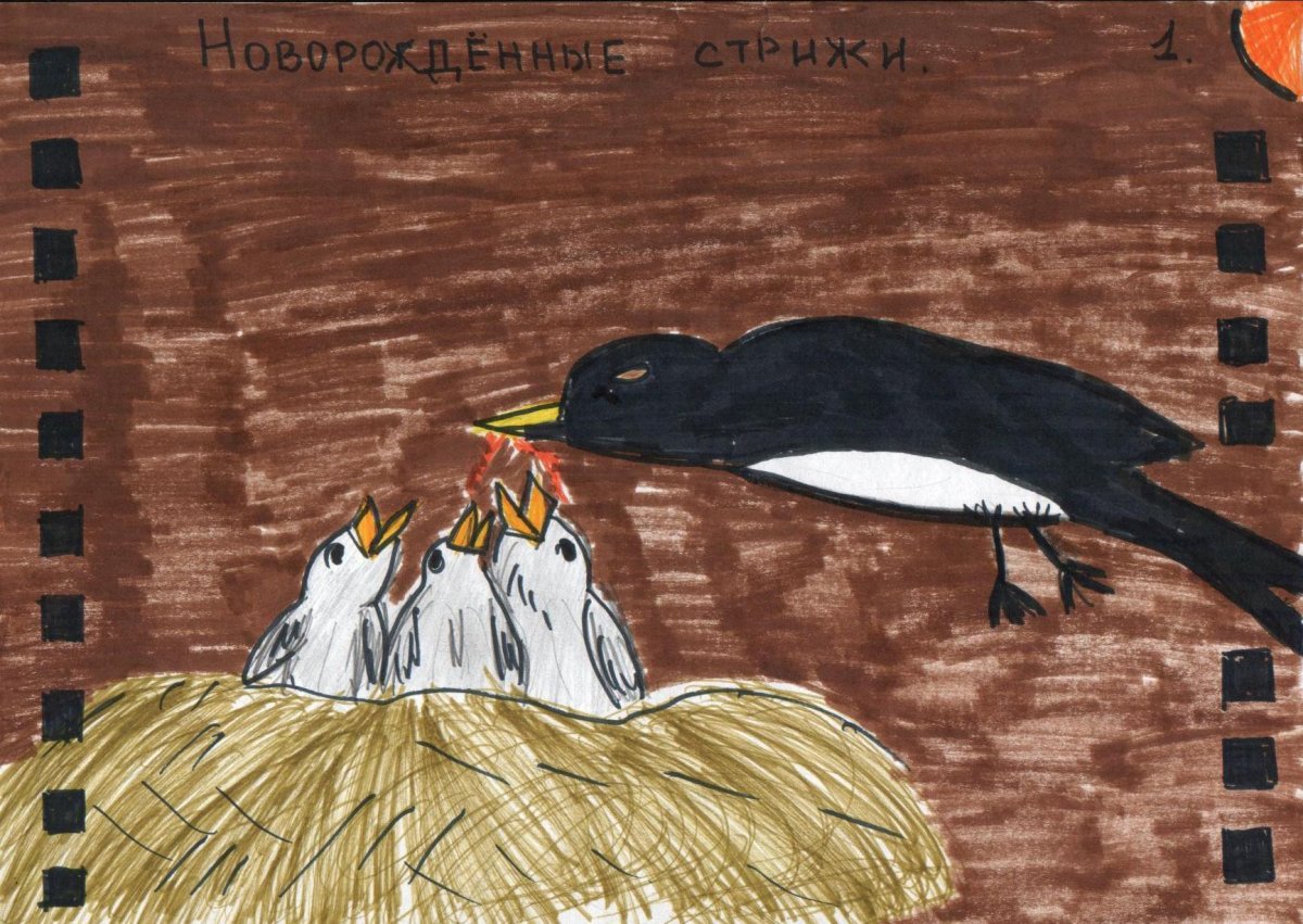 Иллюстрация км казке Стрижонок скрип