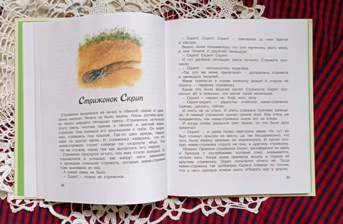 Астафьев Стрижонок скрип план