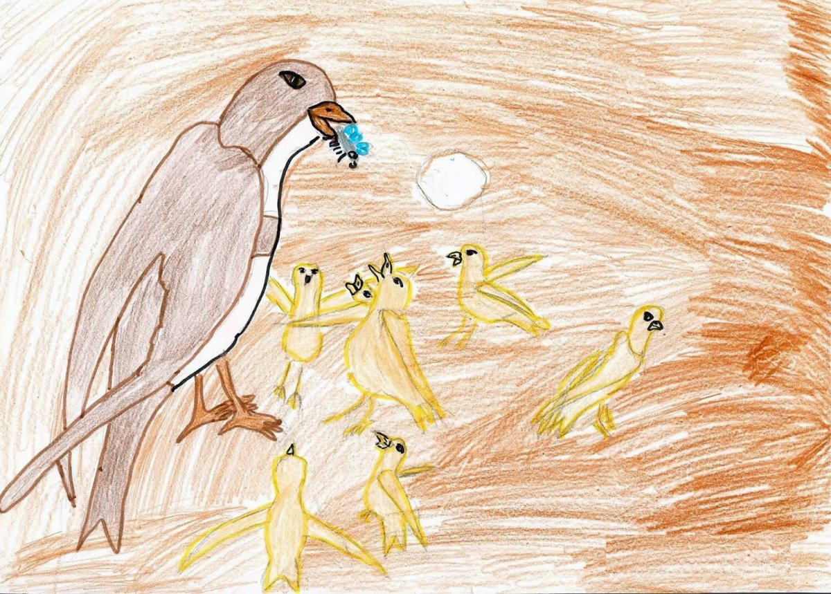 Иллюстрация к Стрижонок скрип рисунок