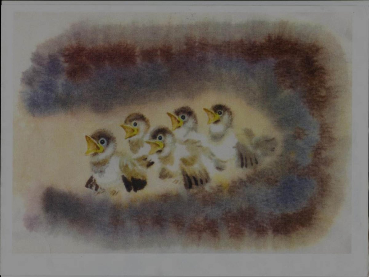 Астафьев Стрижонок скрип оглавление