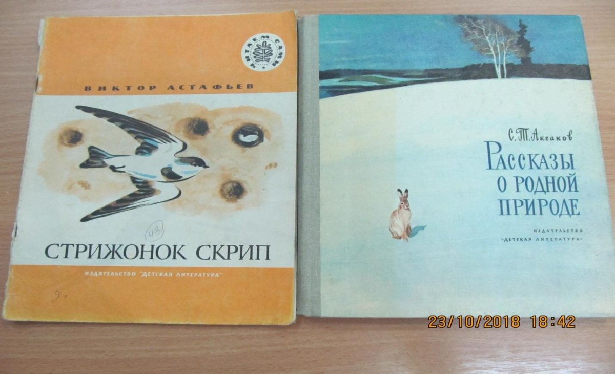 Астафьев Стрижонок скрип раскраска