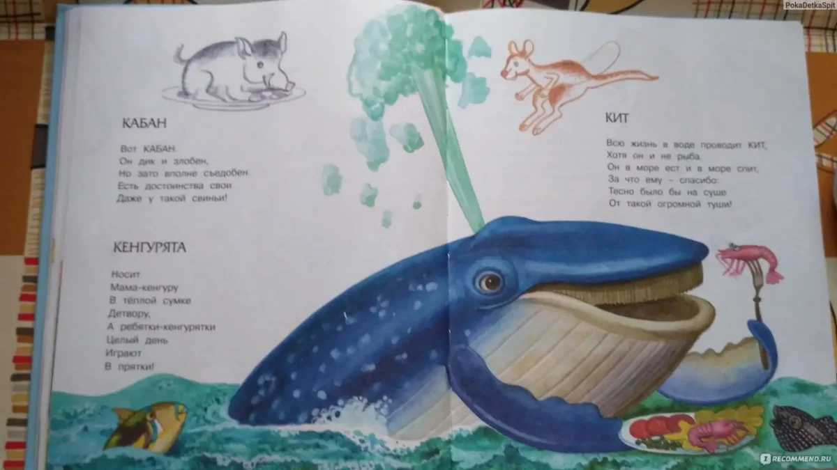 Борис Заходер школа для птенцов