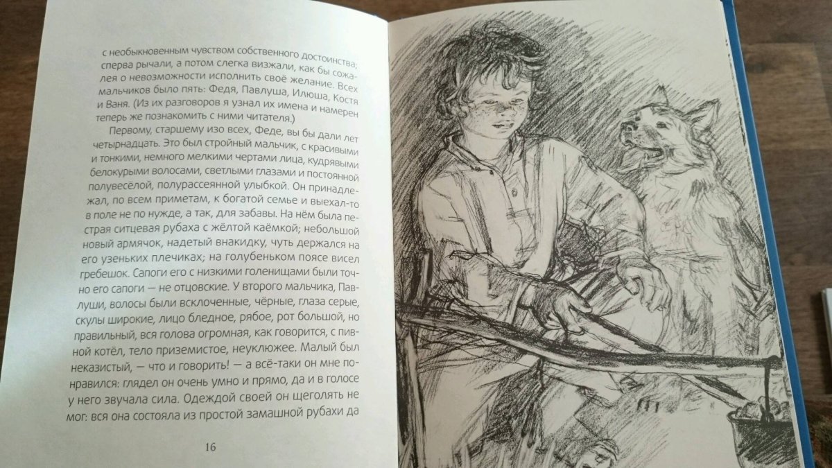 Ассоль САС художник