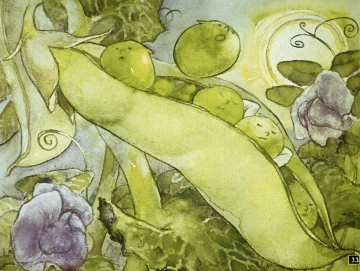 Андерсен пятеро из 1 стручка