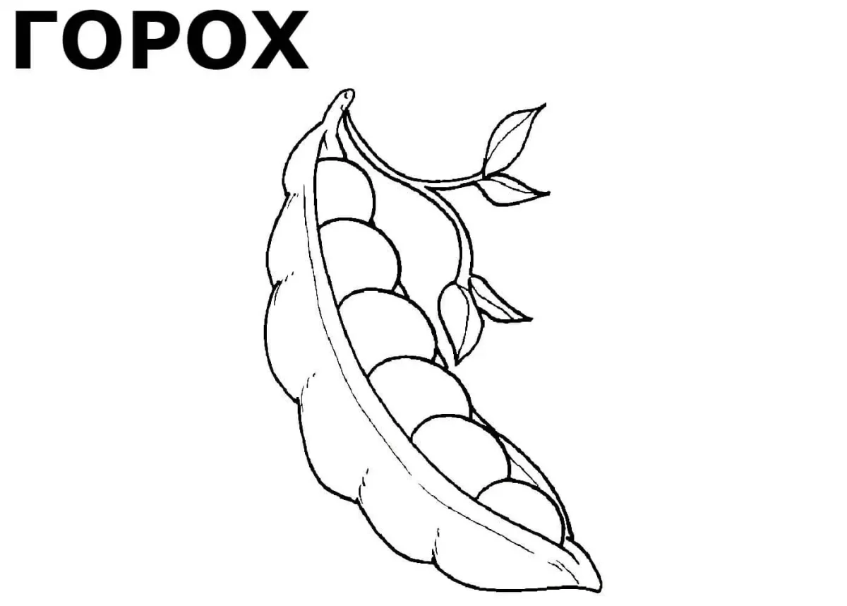 Зеленый горошек раскраска