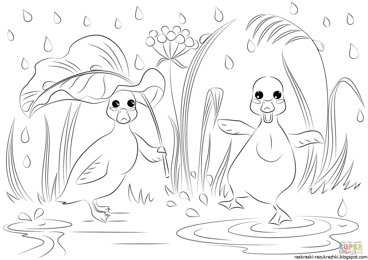 Утёнок раскраска для детей