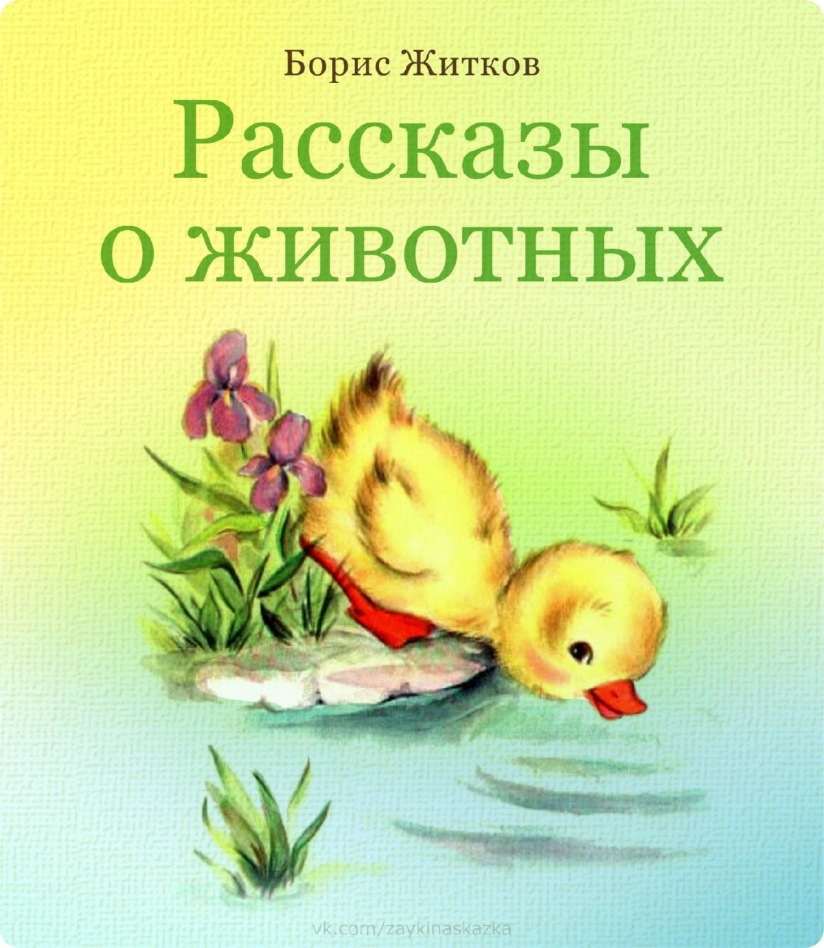 Утенок раскраска для малышей