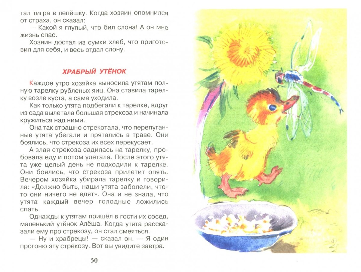 Утёнок раскраска для детей