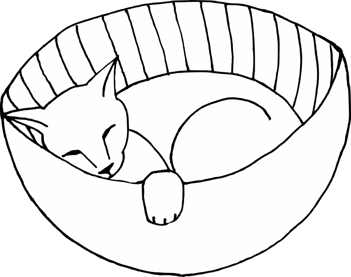 Домик феи раскраска