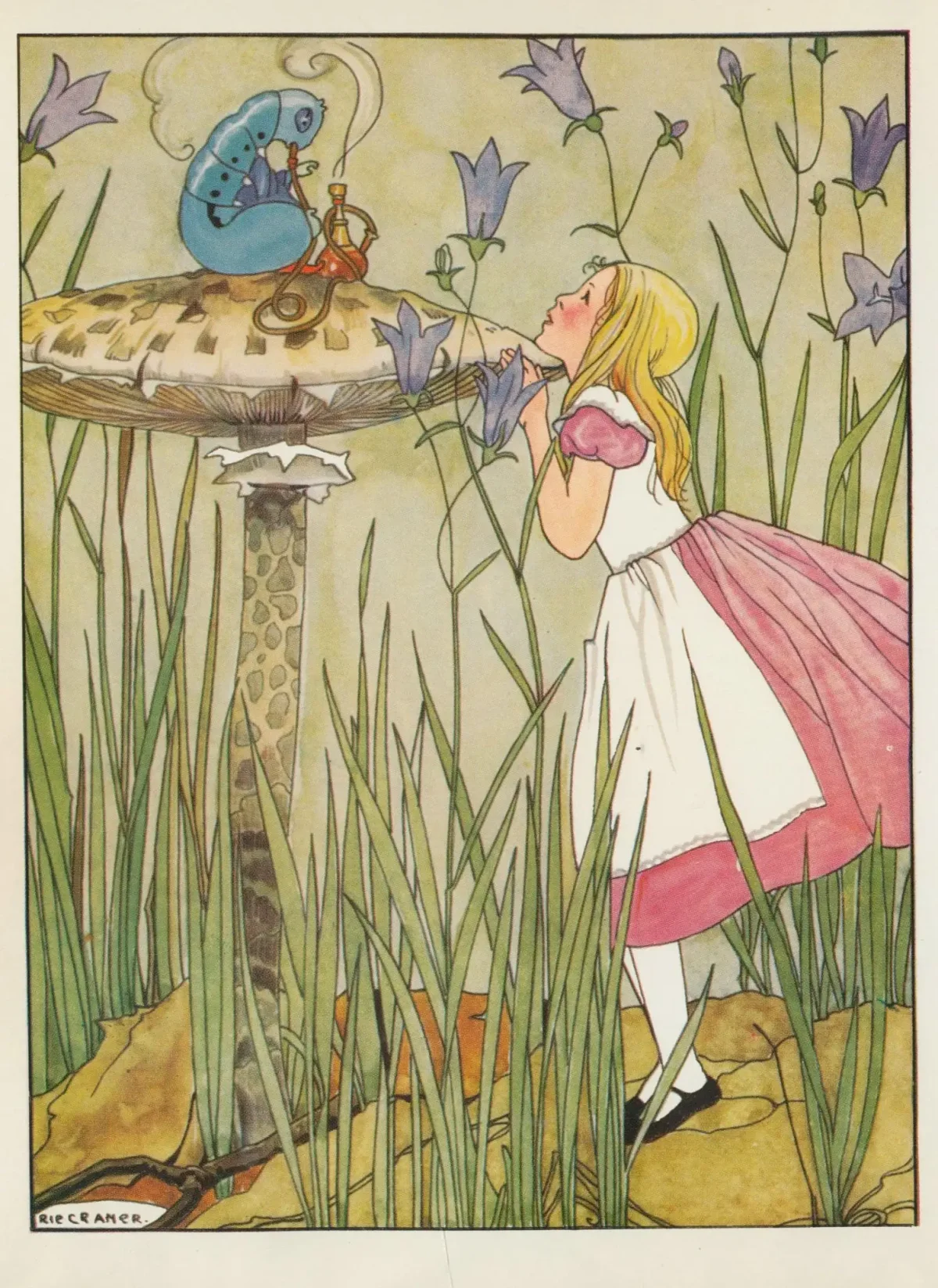 Платонов а. "неизвестный цветок"