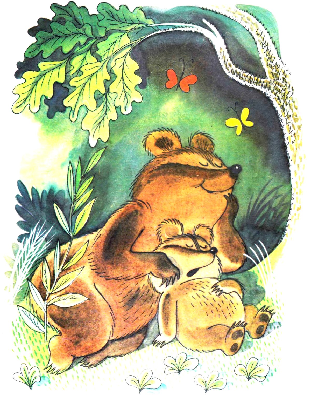 Мишка косолапый раскраска