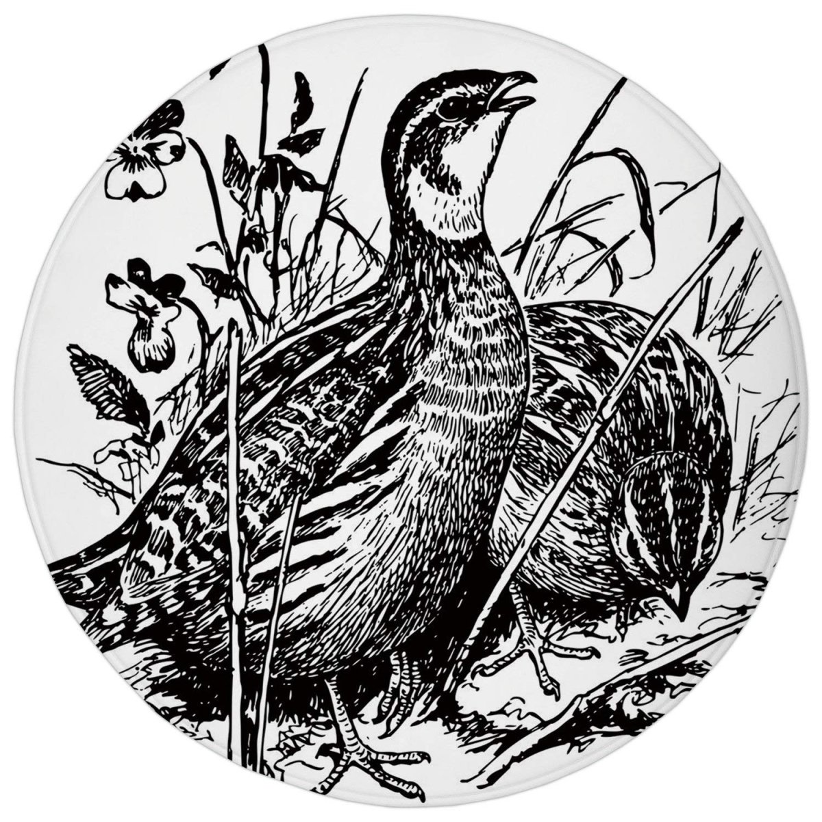 Перепелка черно белая