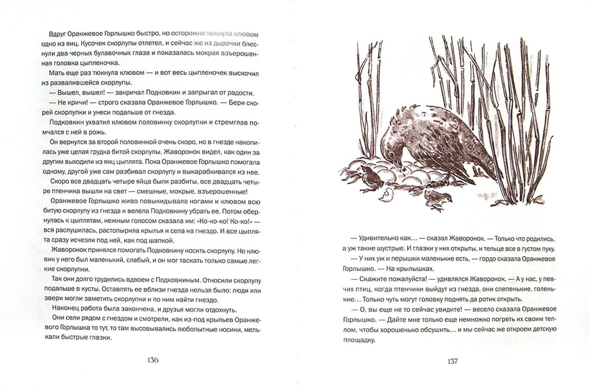 Книга Виталий Бианки на земле Новгородской