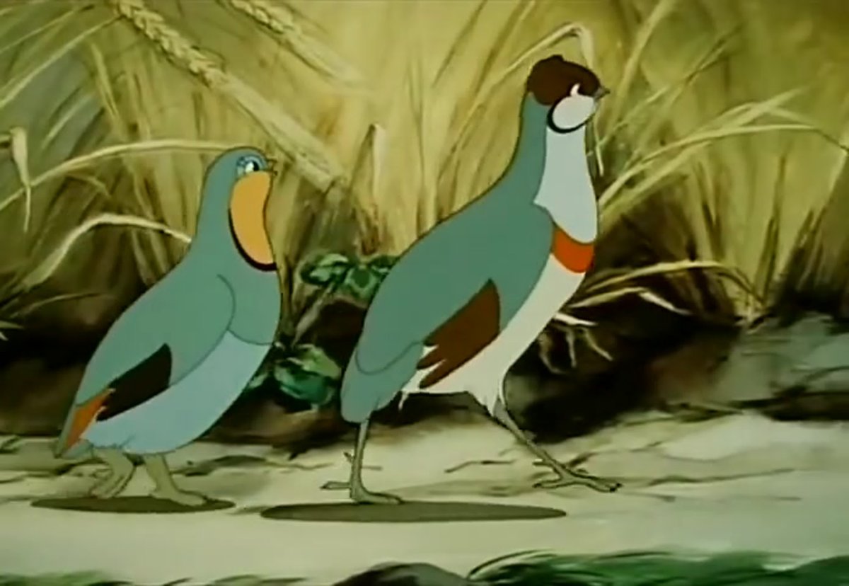 Курица с цыплятами раскраска для детей