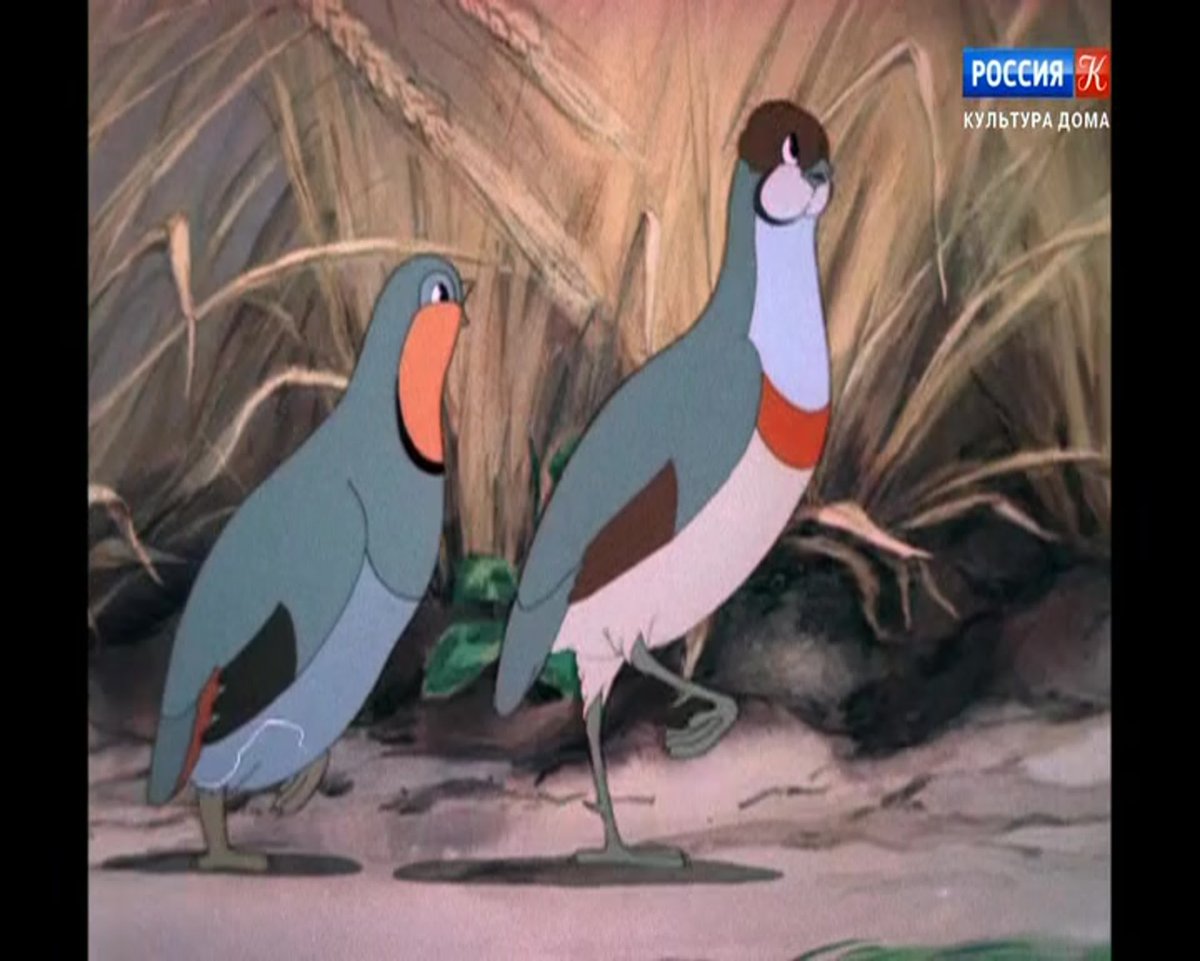 Оранжевое горлышко 1954