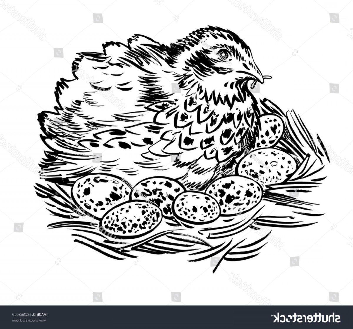 Оранжевое горлышко мысль