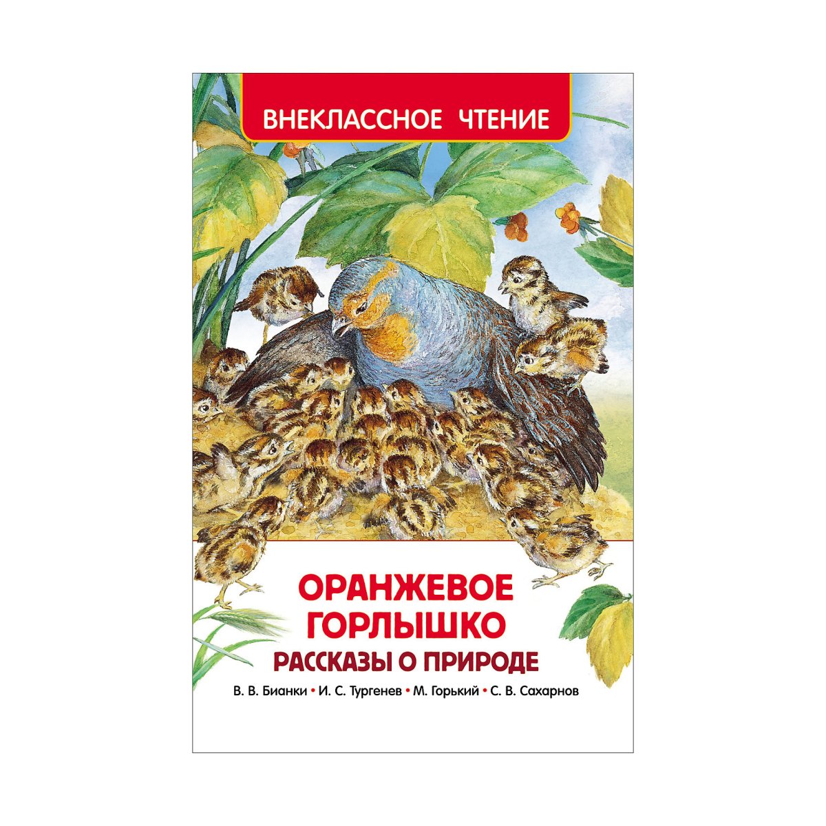 Перепел раскраска