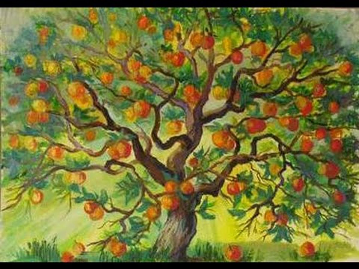 «Яблоня с золотыми яблоками в волшебном саду» Комарова стр.57