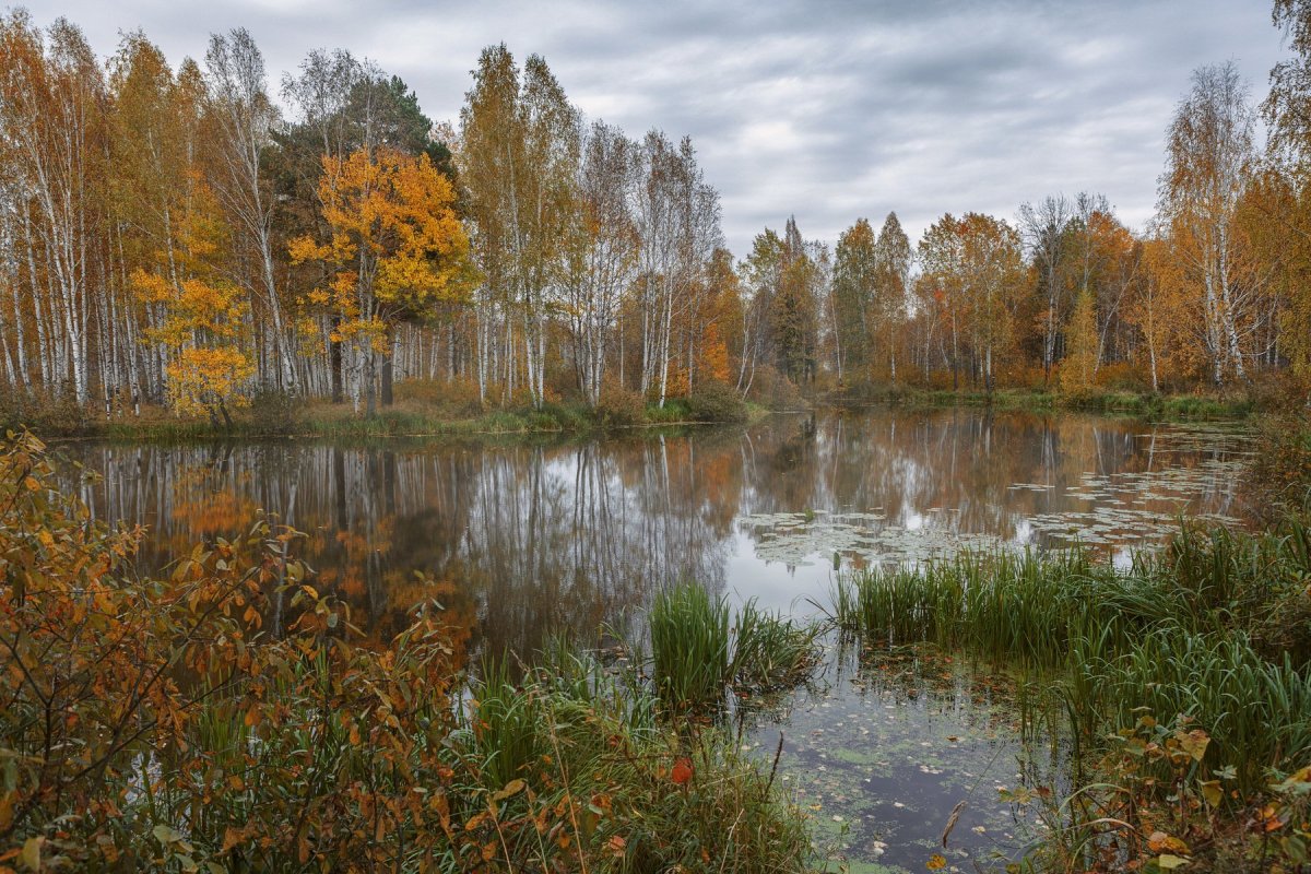 Иван Билибин линогравюра русский Север